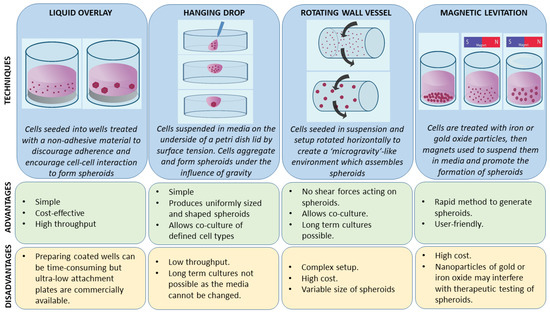 IJMS | Free Full-Text | Three-Dimensional Cell Culture Models To ...