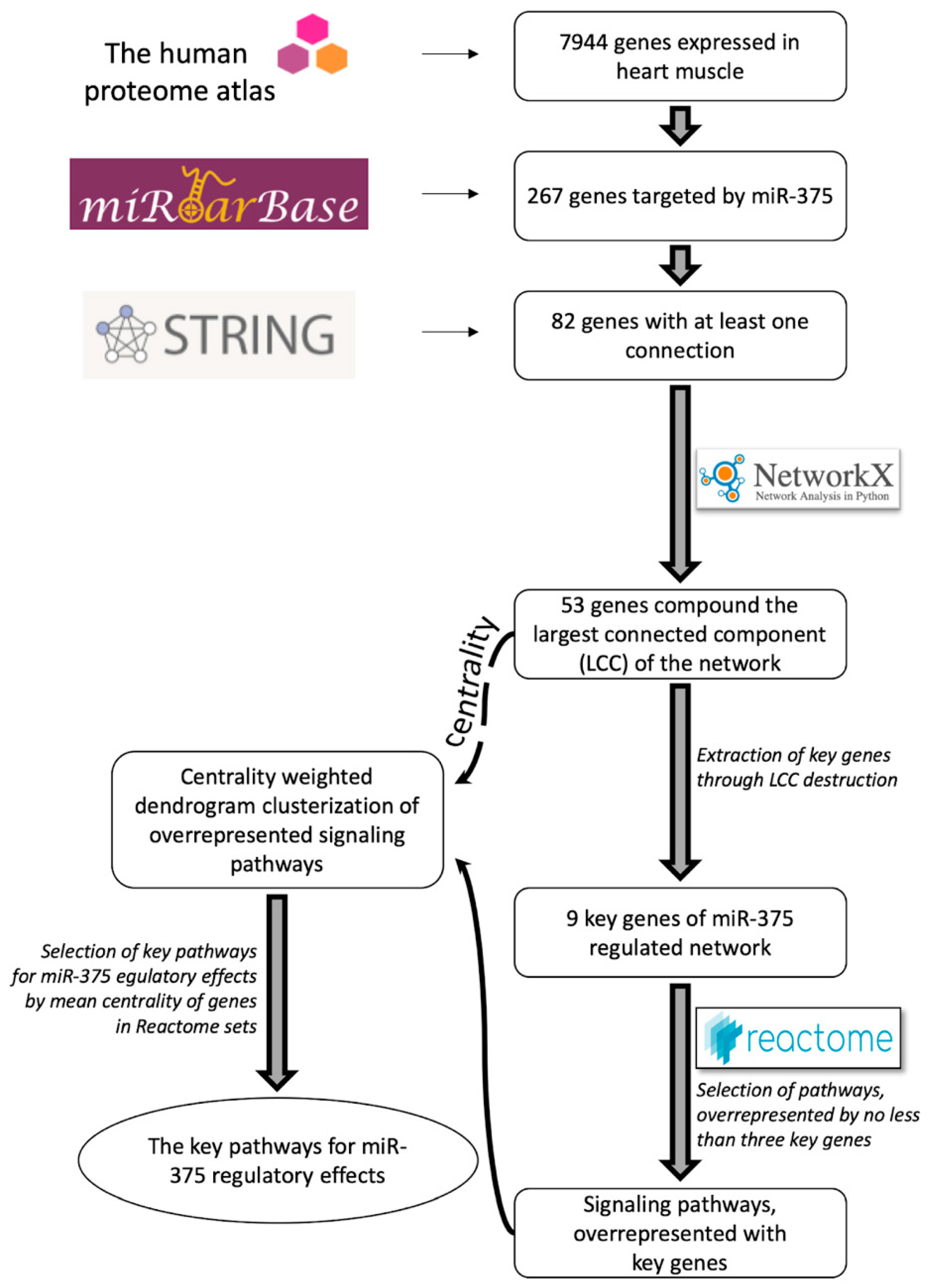 IJMS | Free Full-Text | From MiRNA Target Gene Network To MiRNA ...