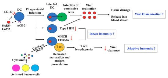 A Missing Link: Engagements of Dendritic Cells in the Pathogenesis of ...