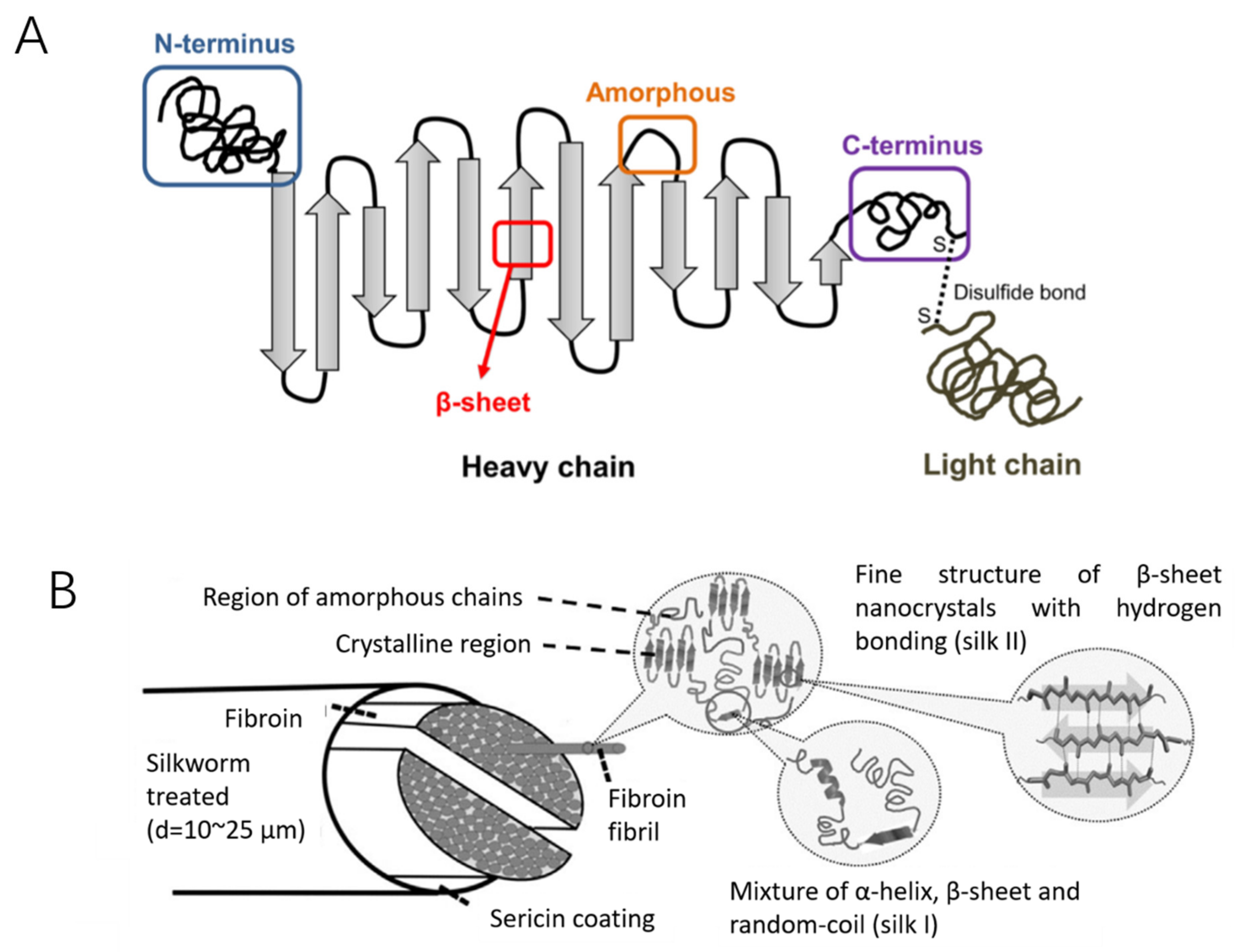 Silk fibroin scaffolds for common cartilage injuries