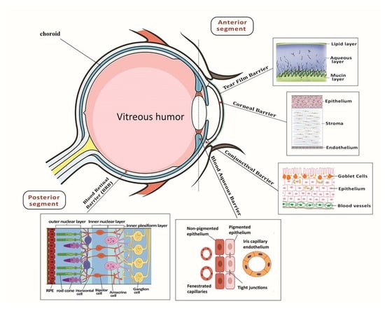 IJMS | Free Full-Text | Nanocarriers, Progenitor Cells, Combinational ...