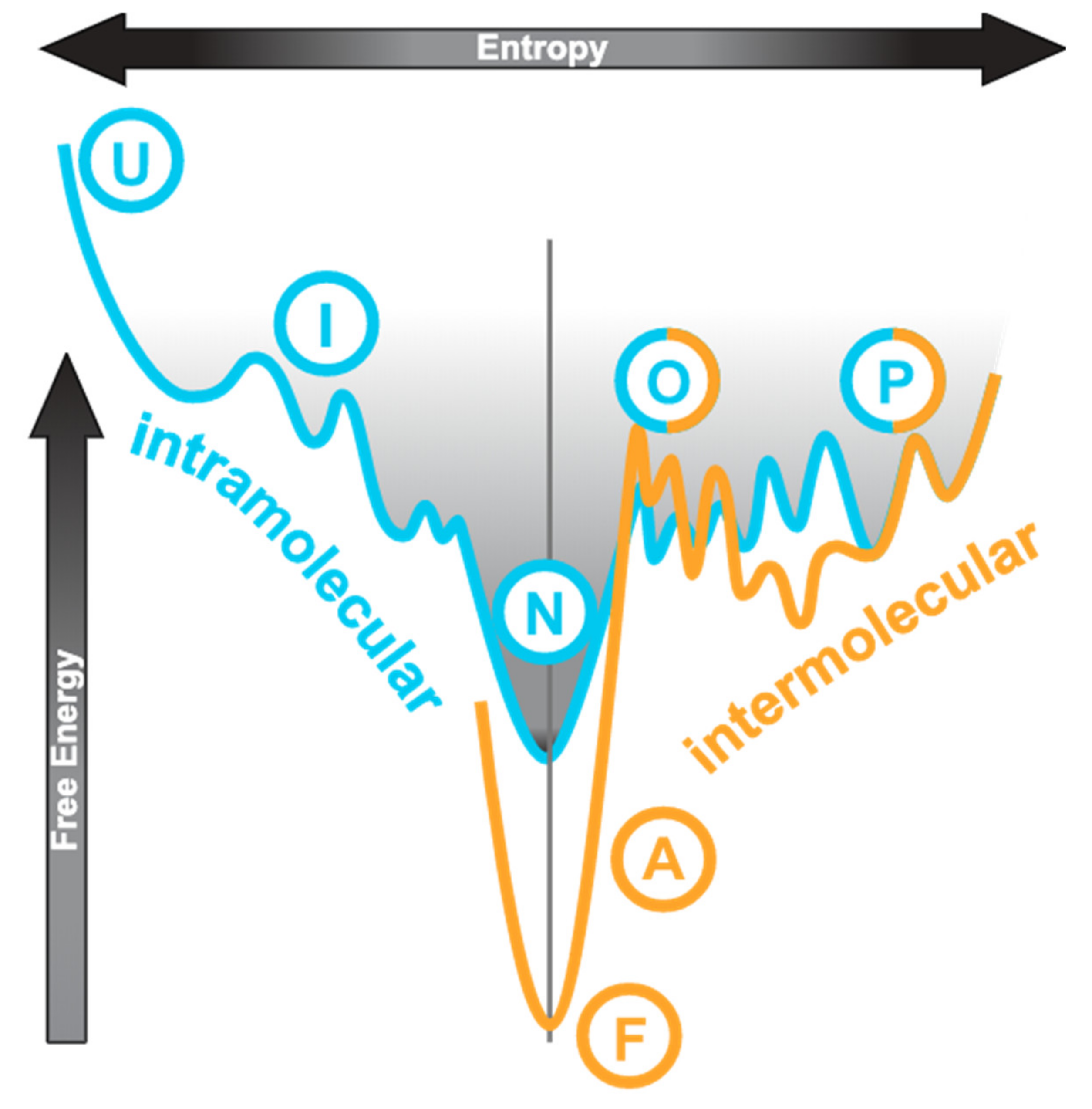 Dimers.com on X: 