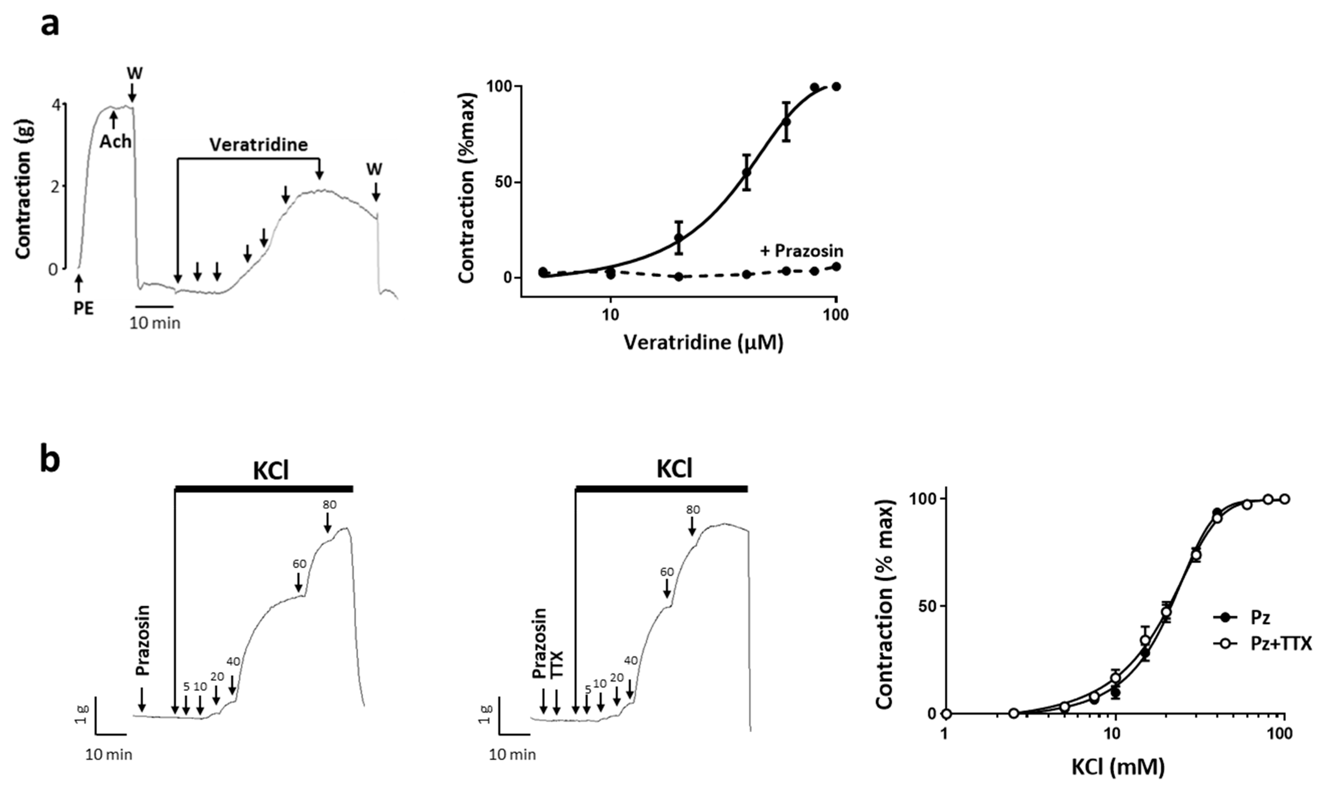 Ijms Free Full Text Hypoxic Conditions Promote Rhythmic Contractile