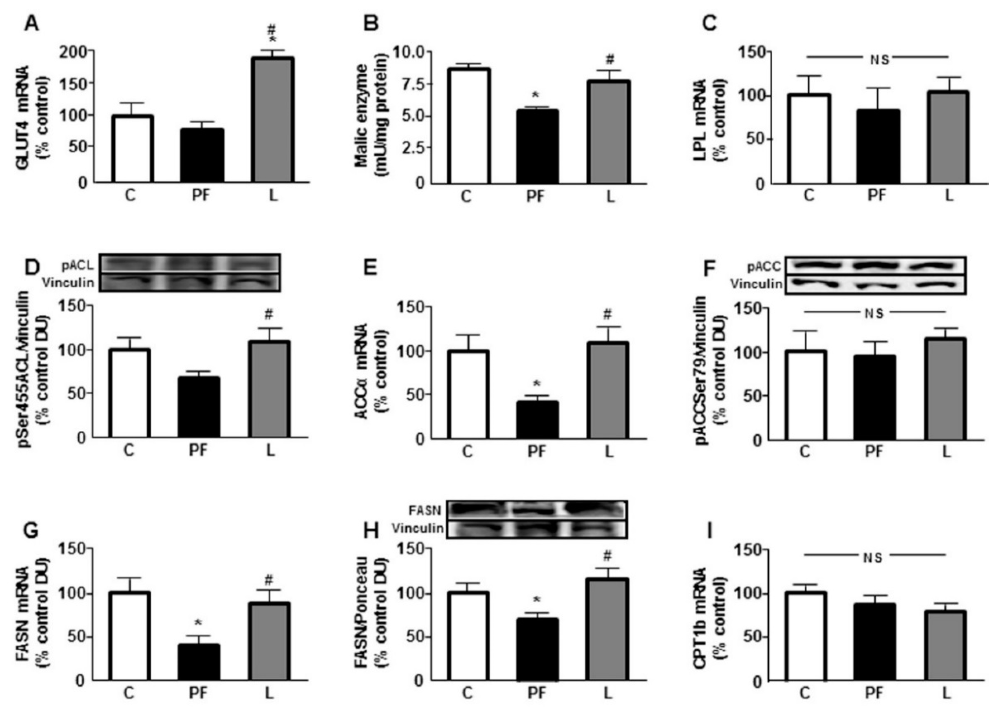 ijms-free-full-text-leptin-modulates-the-response-of-brown-adipose