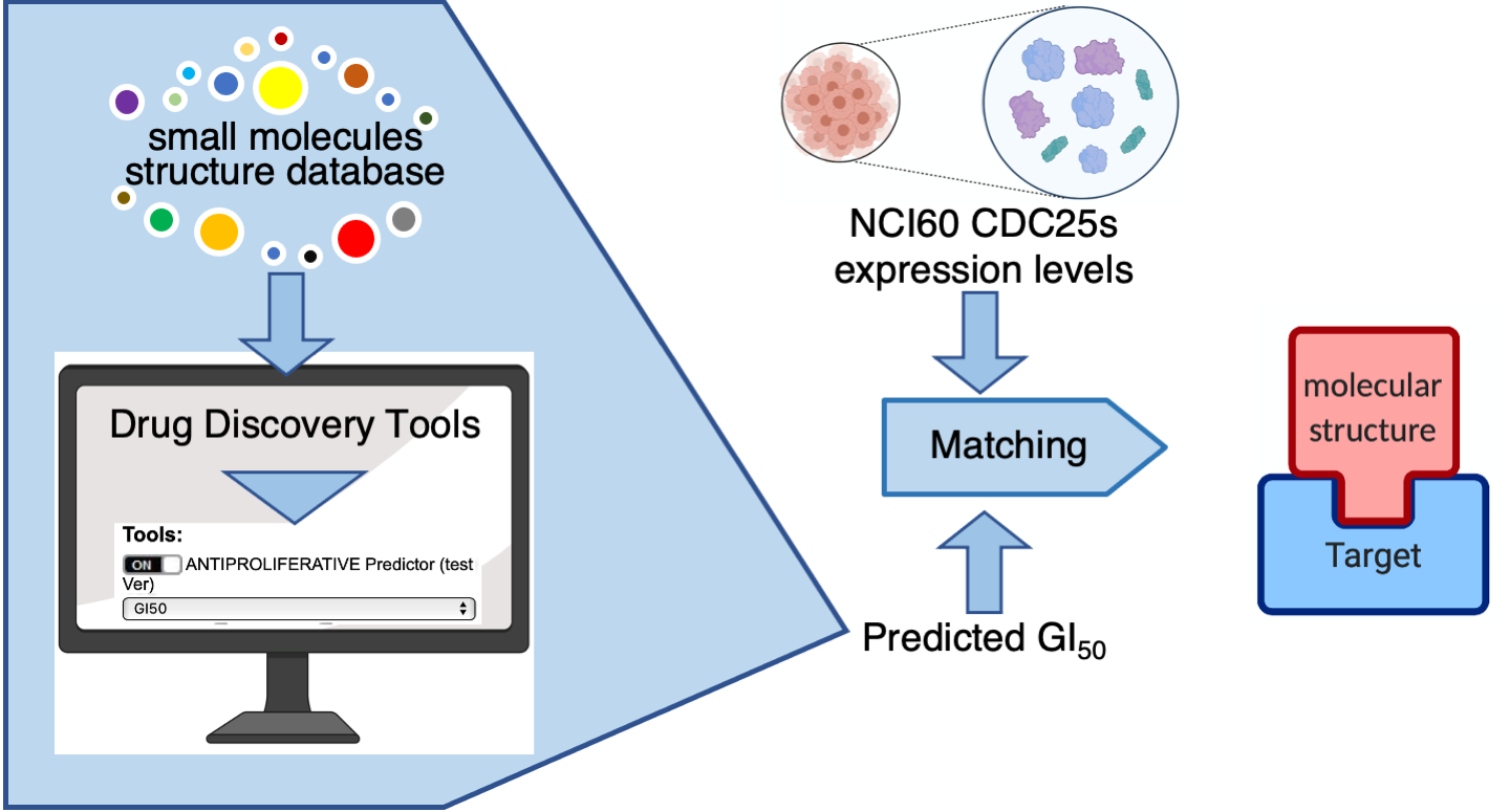 IJMS | Free Full-Text | In Silico Identification of Small Molecules as New Cdc25 Inhibitors through Correlation between Chemosensitivity and Protein Expression Pattern