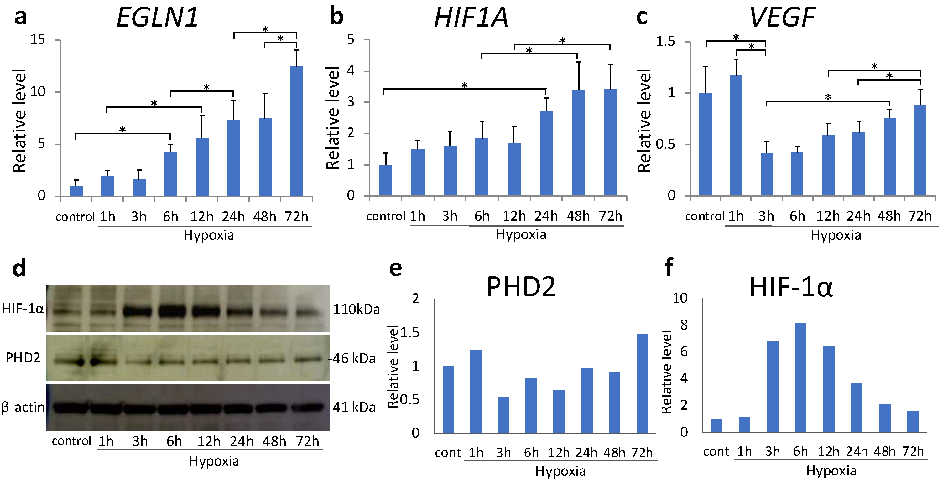 IJMS | Free Full-Text | Sustained Hypoxia Suppresses Joint Destruction ...