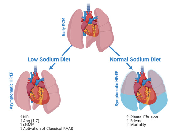 Sodium Intake and Pulmonary Arterial Hypertension