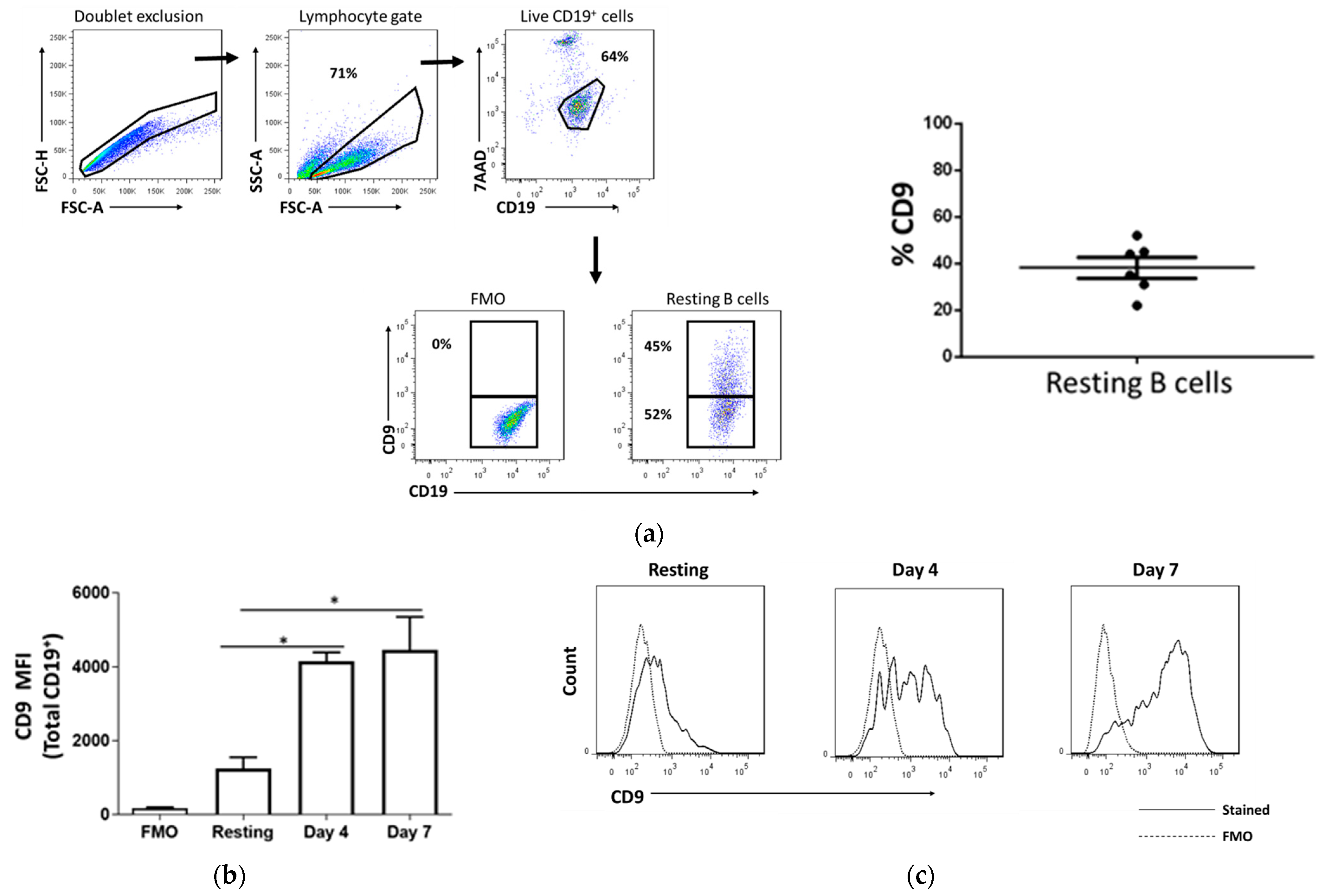 IJMS | Free Full-Text | In Vitro Characterization of Human