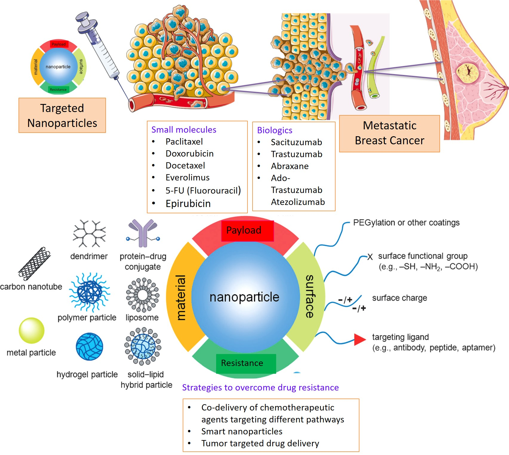 A Folate Receptor-Targeting Nanoparticle Minimizes Drug Resistance