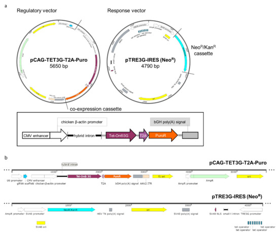 asm-on-twitter-dedicated-inducible-gene-expression-systems-for