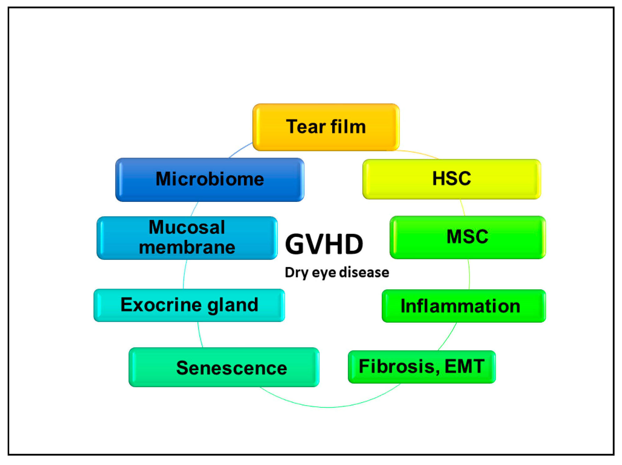 https://pub.mdpi-res.com/ijms/ijms-22-06114/article_deploy/html/images/ijms-22-06114-g001.png?1623053575