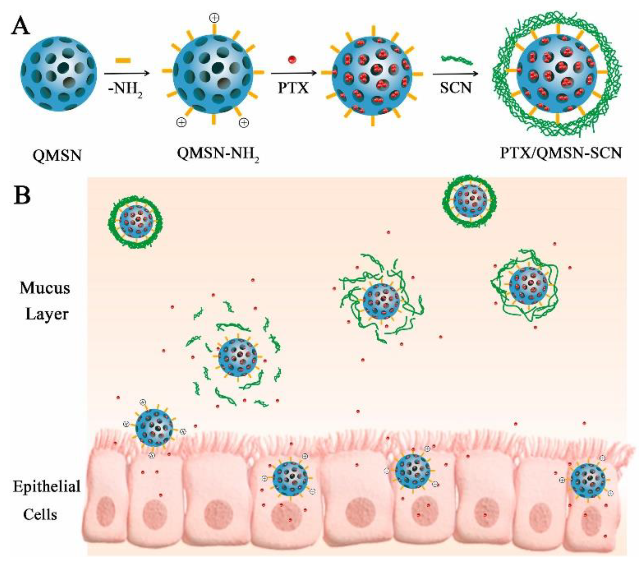 IJMS | Free Full-Text | Nanocarriers for Biomedicine: From Lipid 