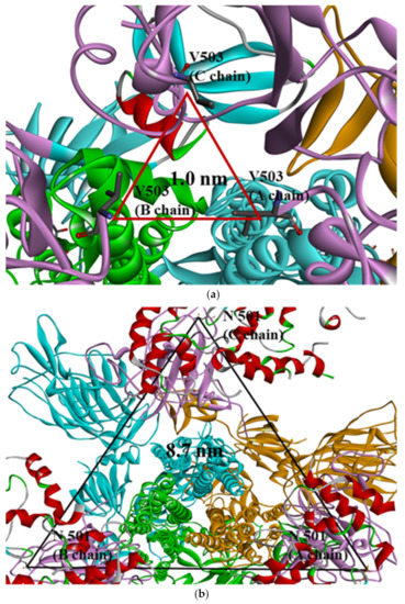 IJMS | Free Full-Text | Molecular Dynamics Studies On The Structural ...