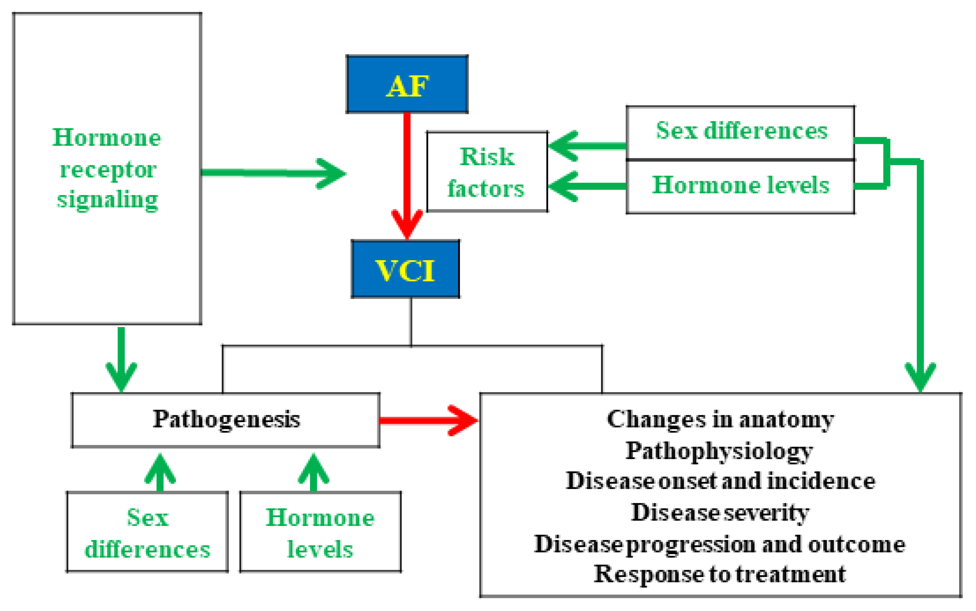 Ijms Free Full Text Revealing The Influences Of Sex Hormones And