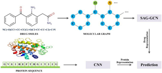 SAG-DTA: Prediction of Drug–Target Affinity Using Self-Attention Graph ...