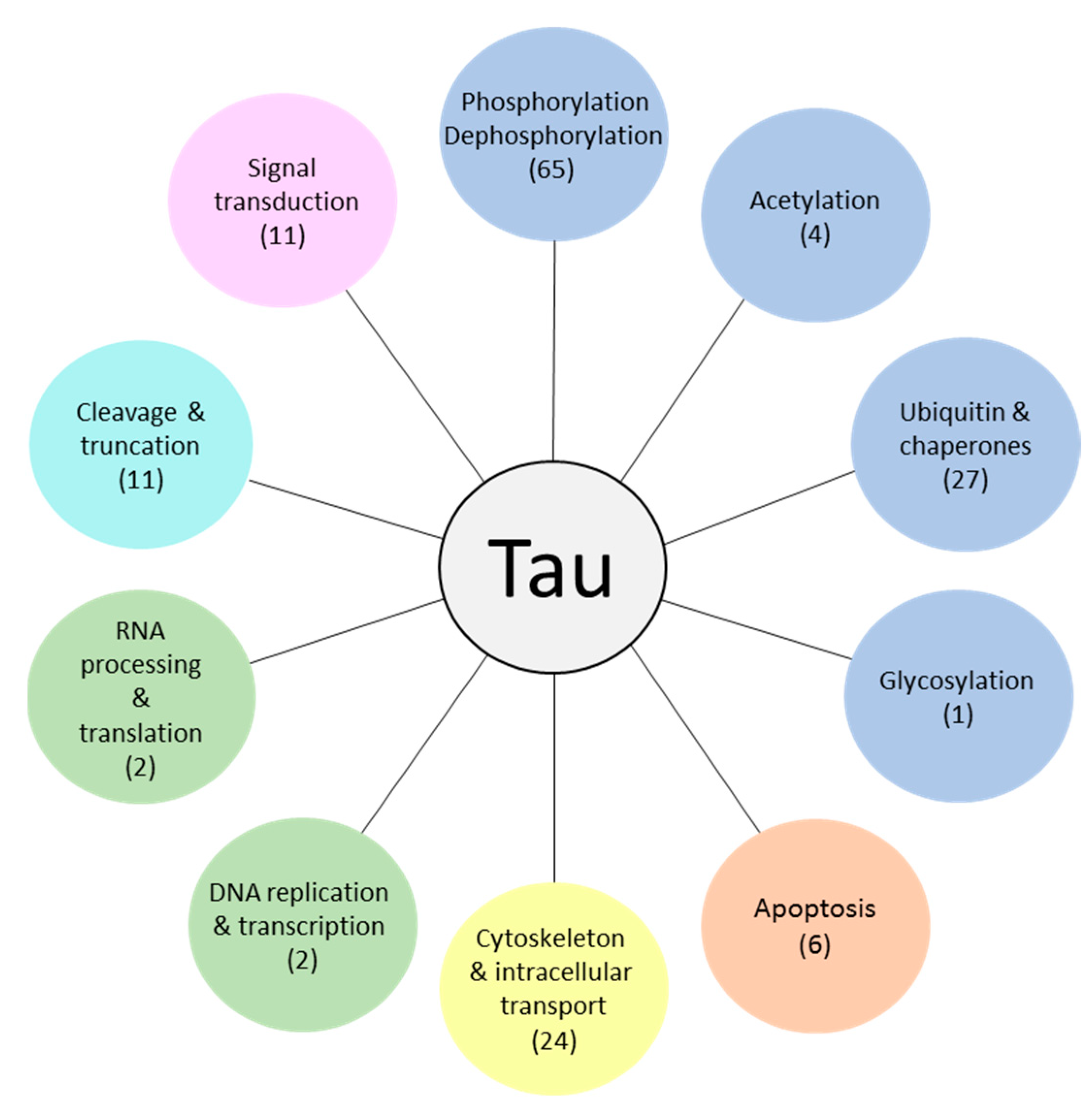 Co je to Tau?