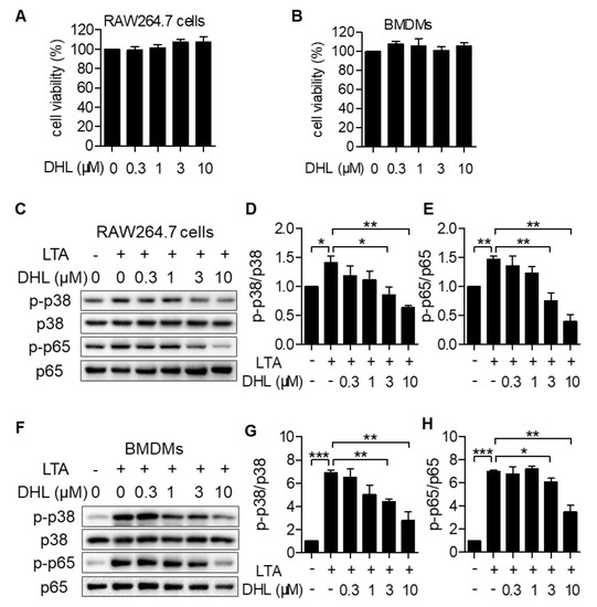 IJMS Free Full Text Dehydrocostus Lactone Attenuates