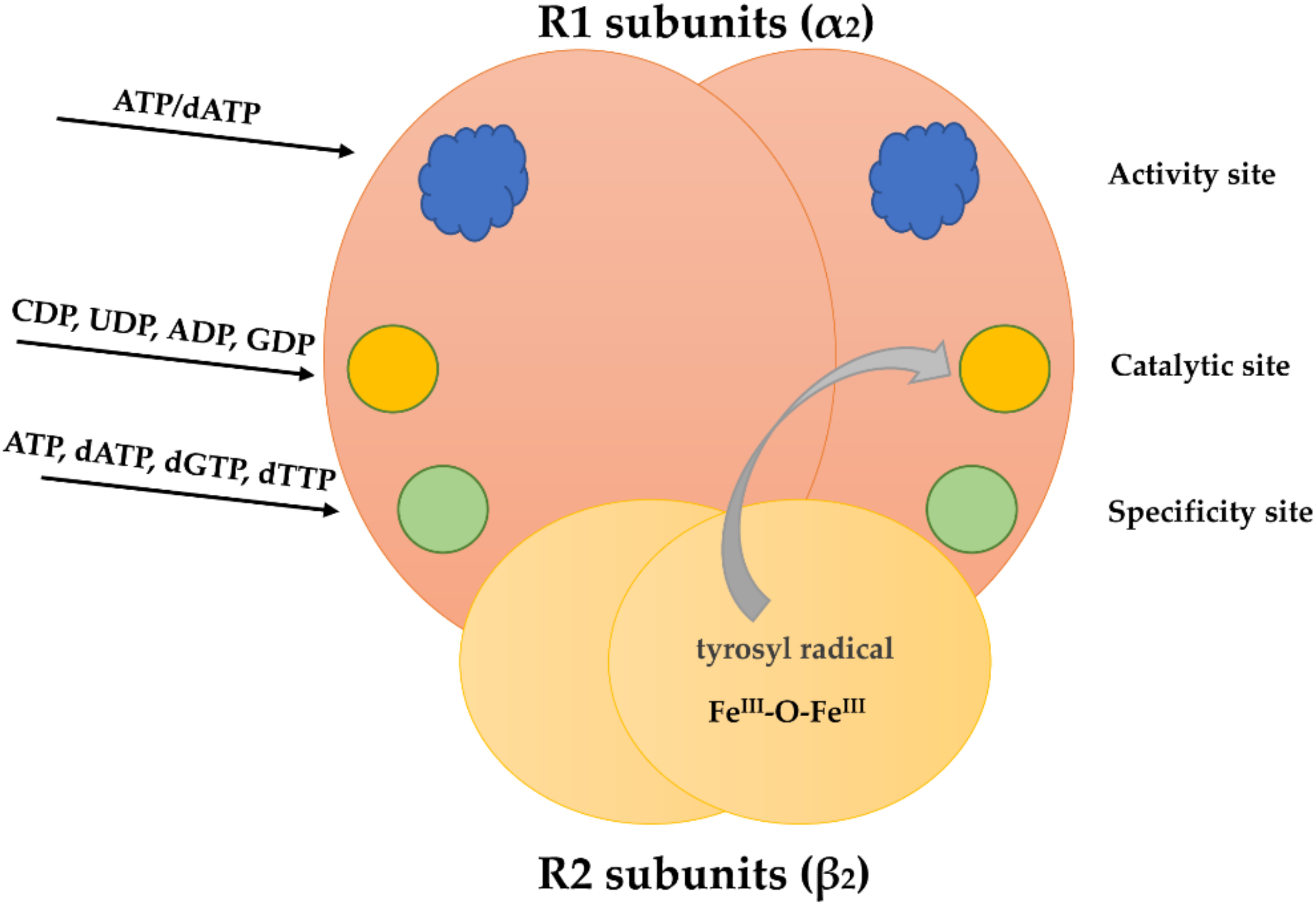 ijms-free-full-text-strengths-and-weaknesses-of-cell