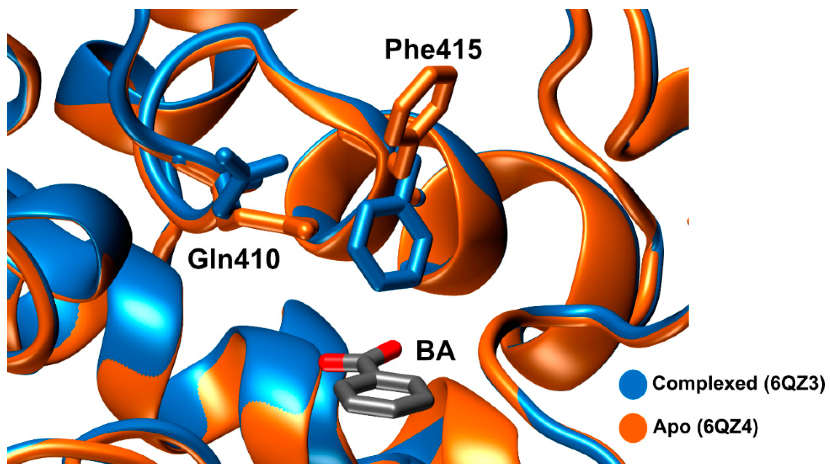 FANS-ONE-Electric-Protein-Shaker-Bottle - Shaker Bottles for Protein M —  CHIMIYA