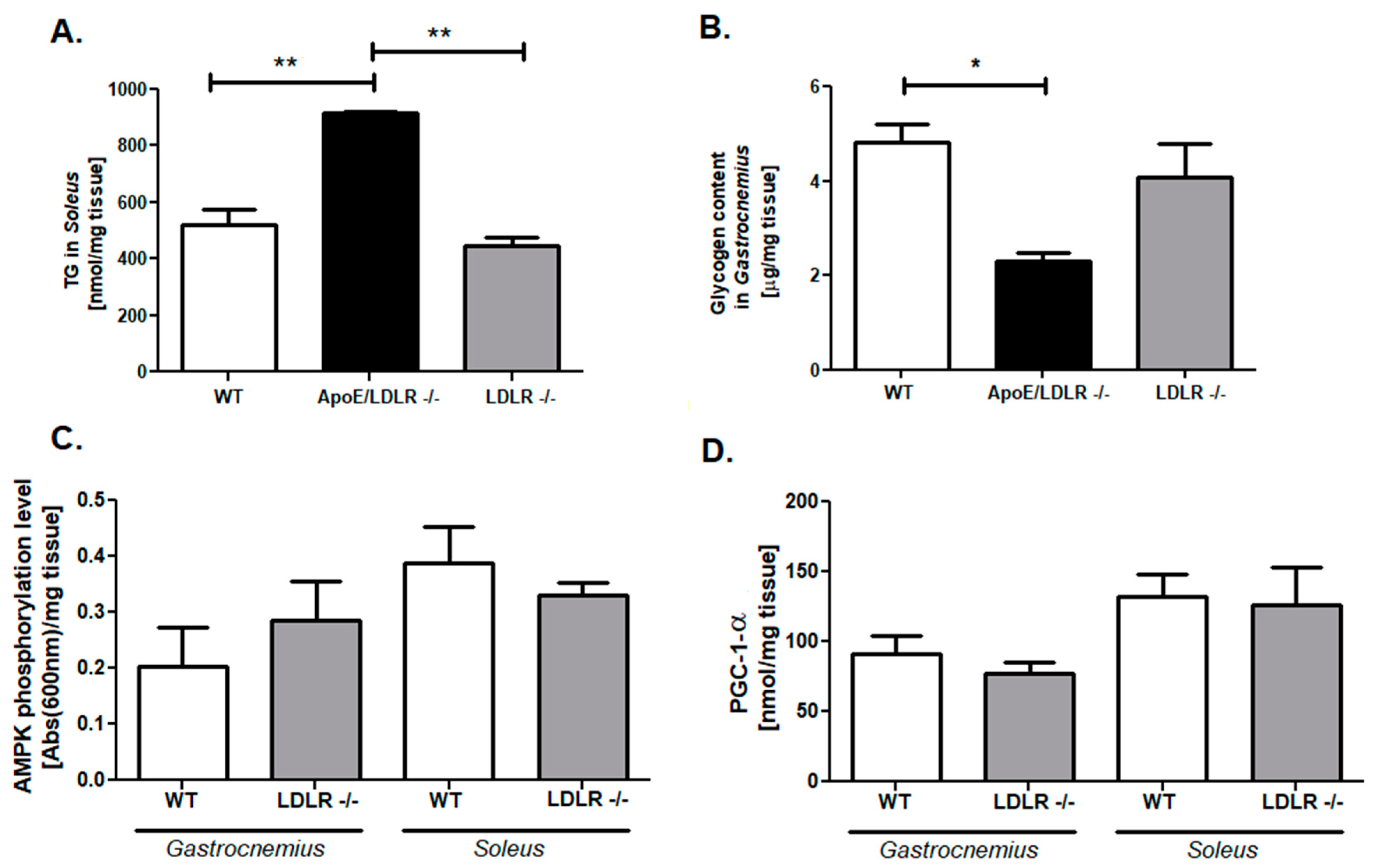 ijms-free-full-text-enhanced-muscle-strength-in-dyslipidemic-mice