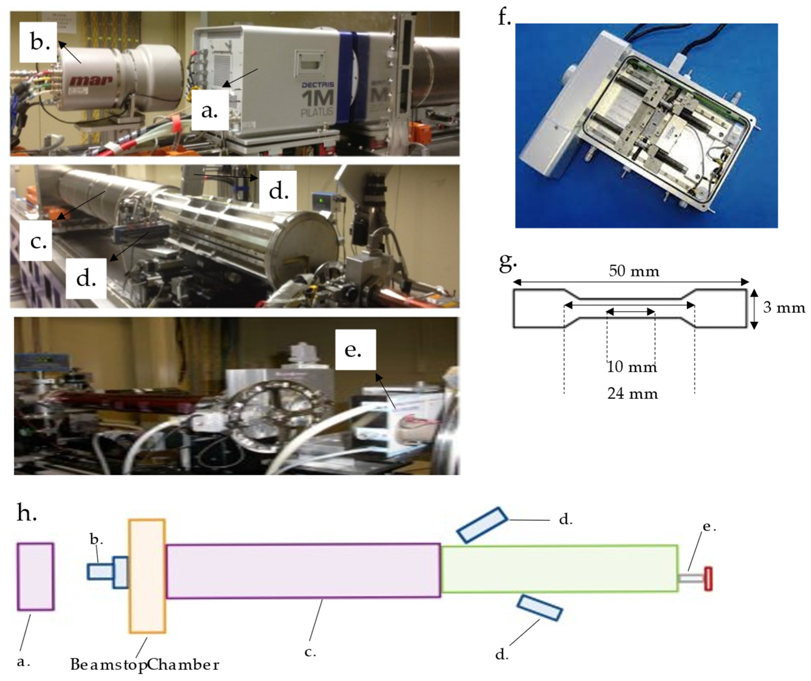 2674px x 2247px - IJMS | Free Full-Text | In-Situ Synchrotron SAXS and WAXS Investigation on  the Deformation of Single and Coaxial Electrospun P(VDF-TrFE)-Based  Nanofibers