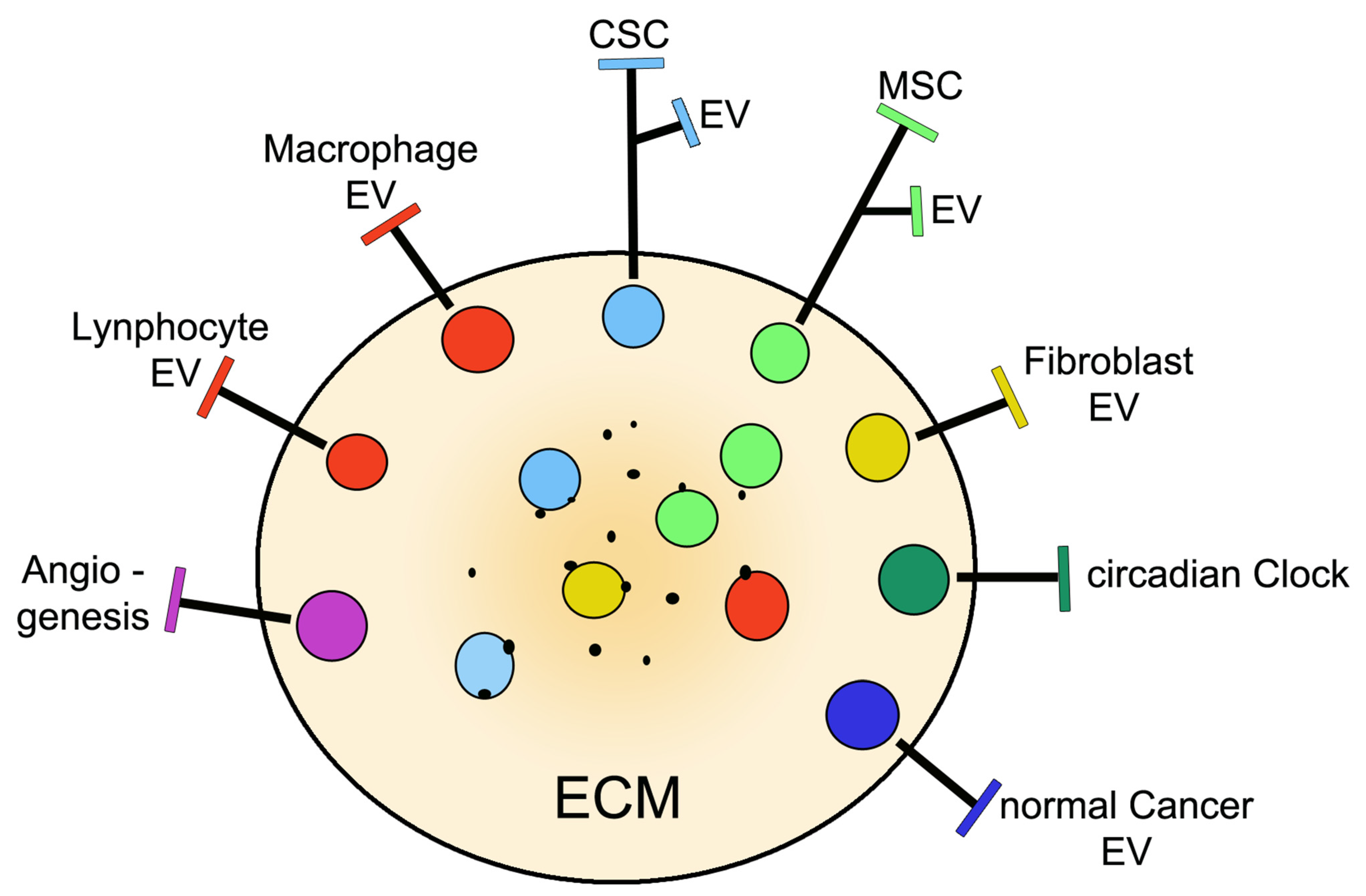 IJMS Free Full Text Cancer Stem Cells And Their Vesicles Together IJMS Free Full Text Cancer Stem Cells And Their Vesicles Together