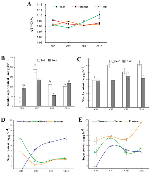 IJMS | Free Full-Text | Sugar Metabolism and Transcriptome