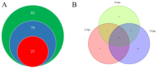Identification and Characterization of WRKY41, a Gene
