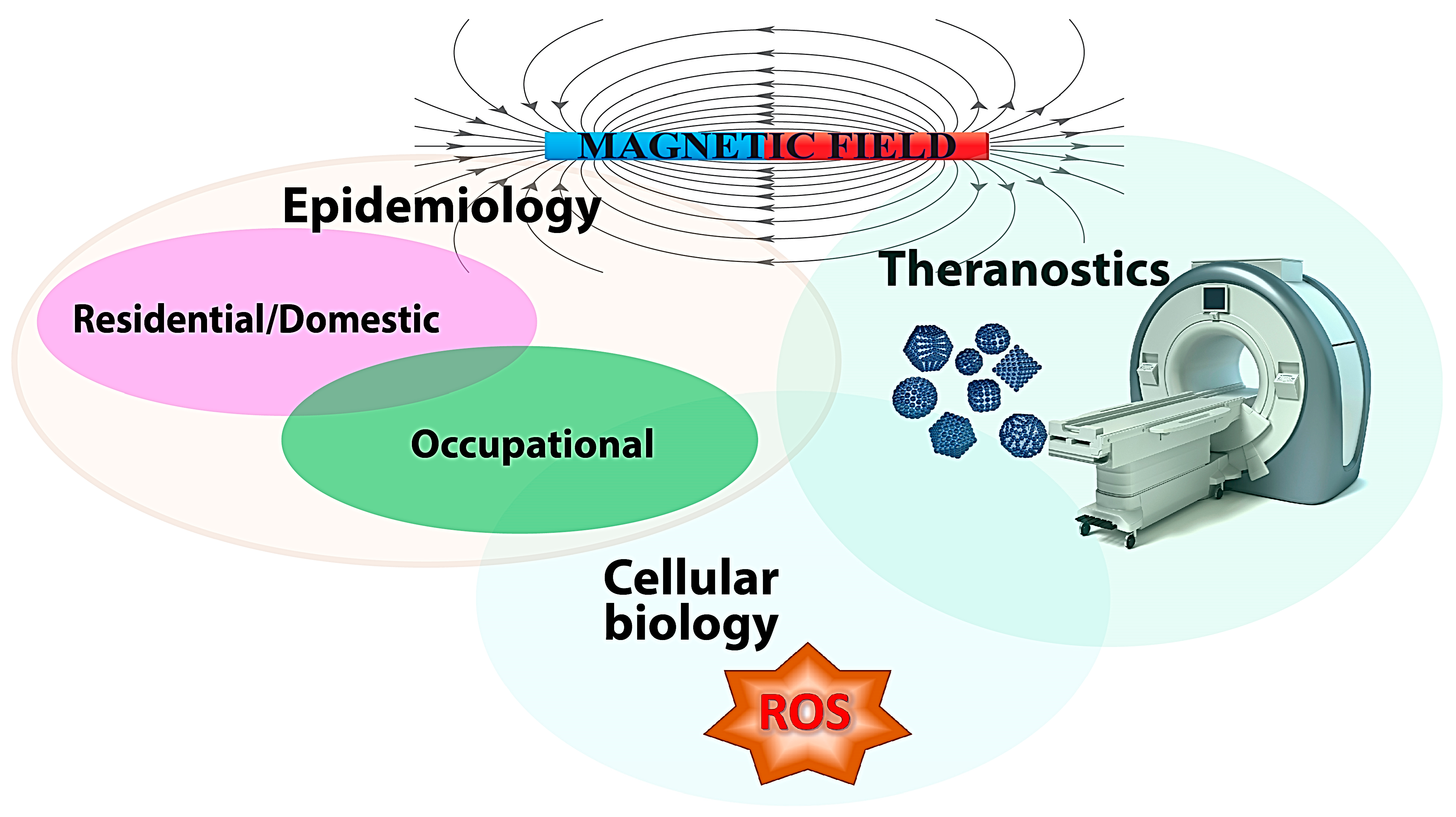 IJMS | Free Full-Text | Magnetic Fields and Cancer: Epidemiology 
