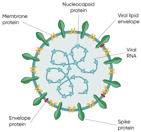 IJMS | Free Full-Text | Aptamers—Diagnostic and Therapeutic Solution in ...