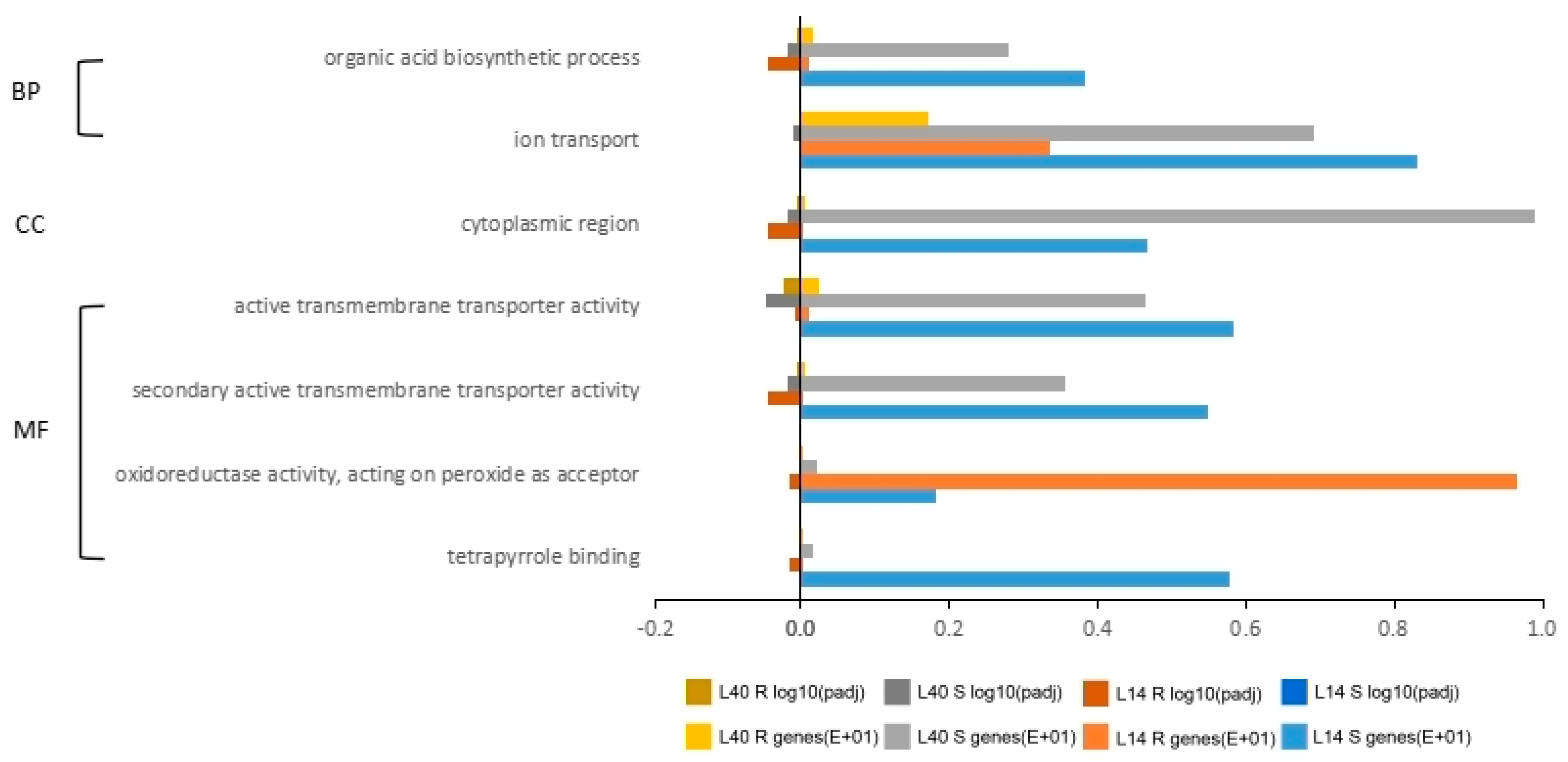 Nitrogen Uptake and Distribution in Different Chinese Nitrogen Uptake and Distribution in Different Chinese