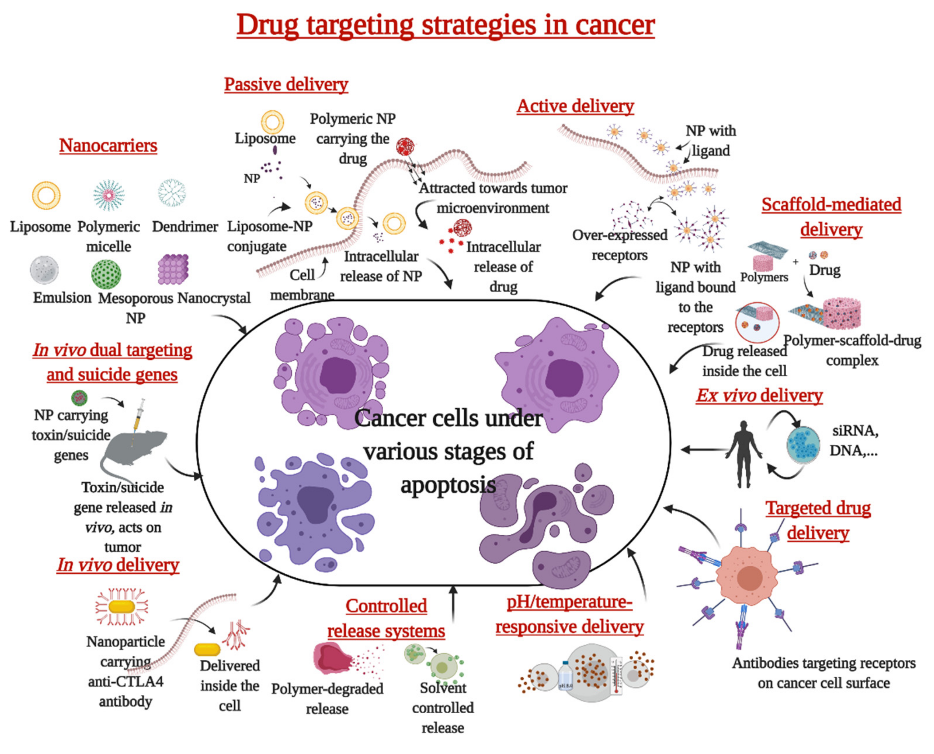 Survey of Clinical Translation of Cancer Nanomedicines—Lessons