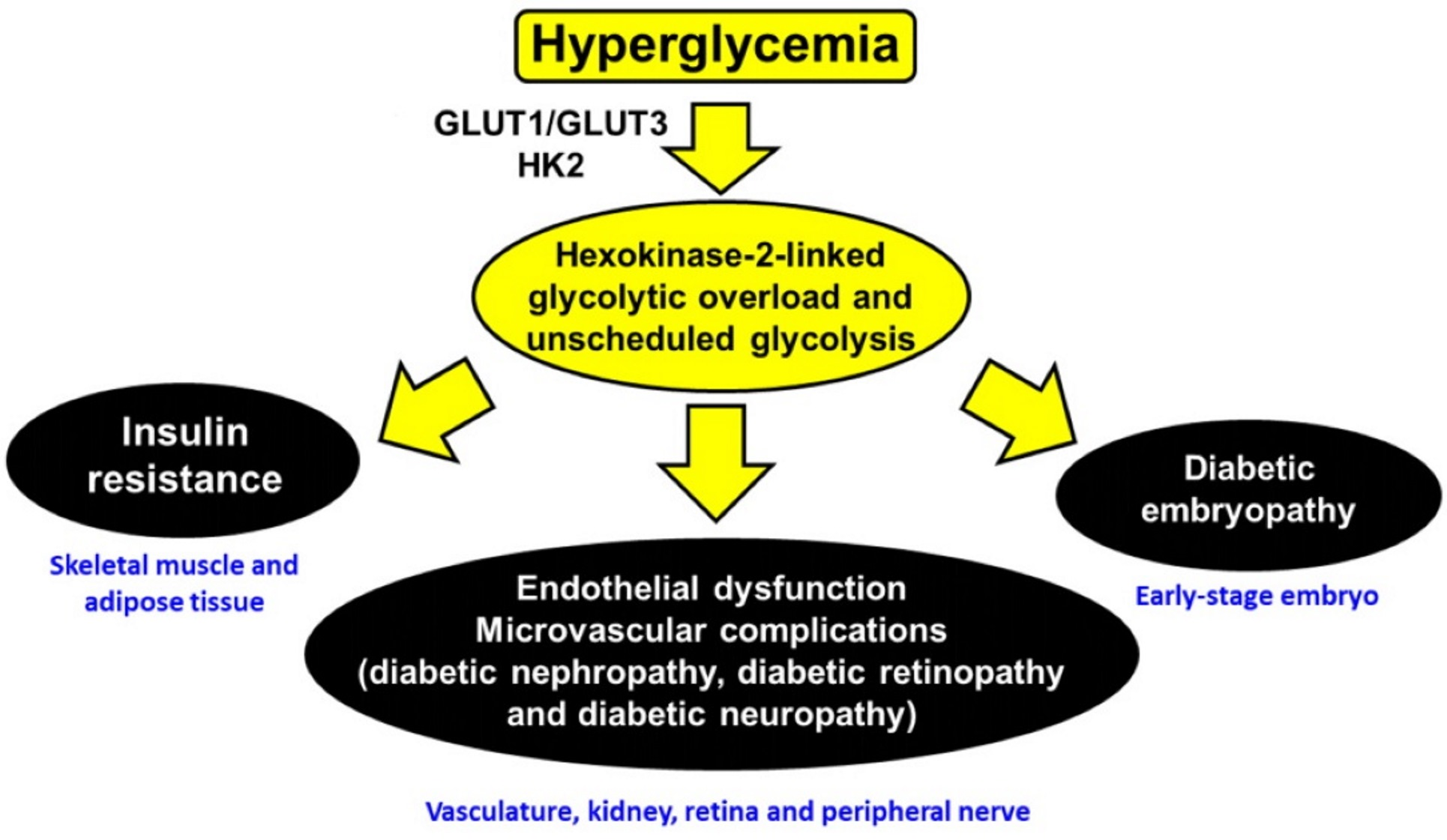 https://pub.mdpi-res.com/ijms/ijms-23-02165/article_deploy/html/images/ijms-23-02165-ag.png?1645410611