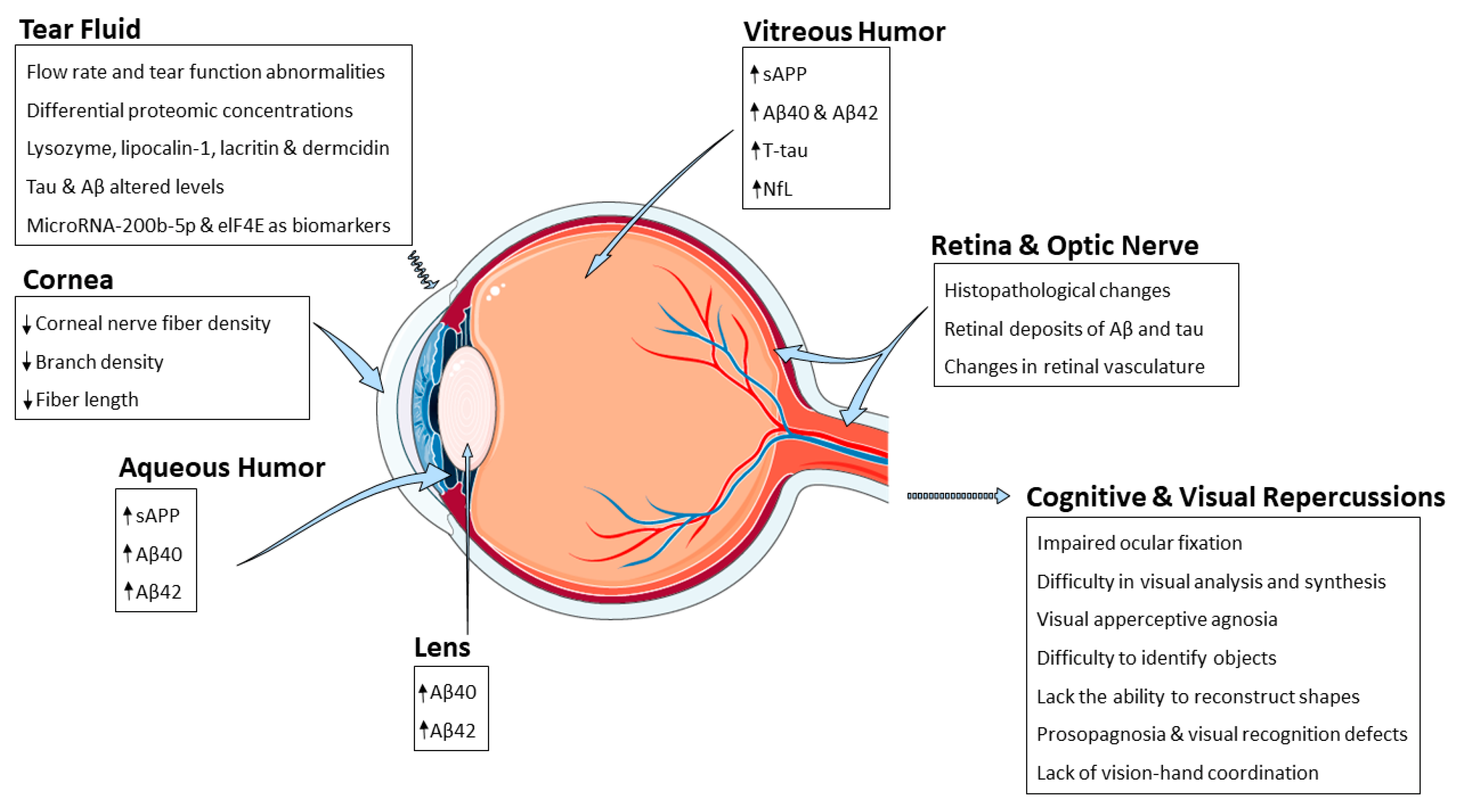 PDF) Integrating Retinal Variables into Graph Visualizing