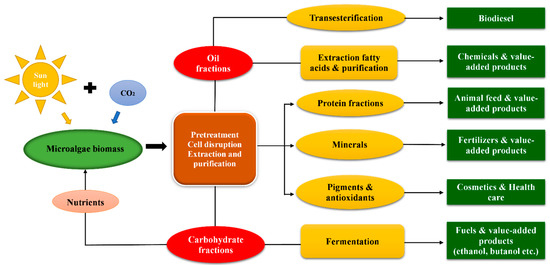 IJMS Free Full Text Microalgal Biorefinery Concepts rsquo