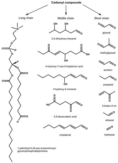 IJMS | Free Full-Text | Dynamics of Reactive Carbonyl Species in Pea ...