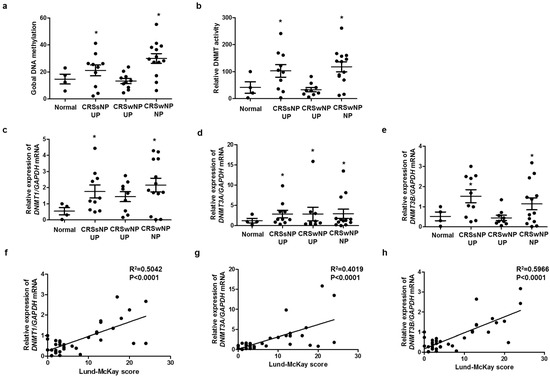 IJMS | Free Full-Text | DNMTs Are Involved in TGF-β1-Induced Epithelial ...