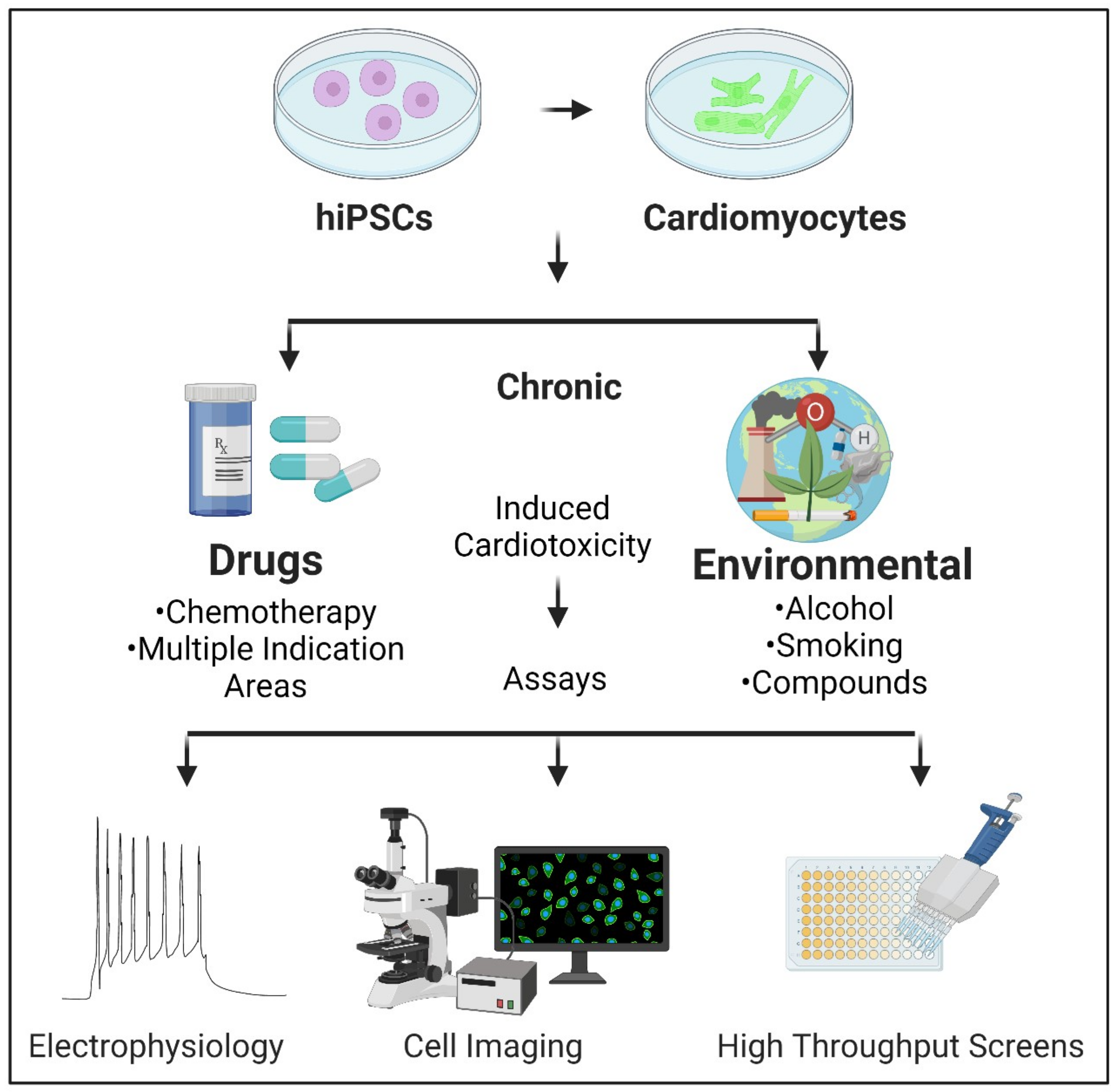 Long-term Cardiovascular Toxicity in Children, Adolescents, and