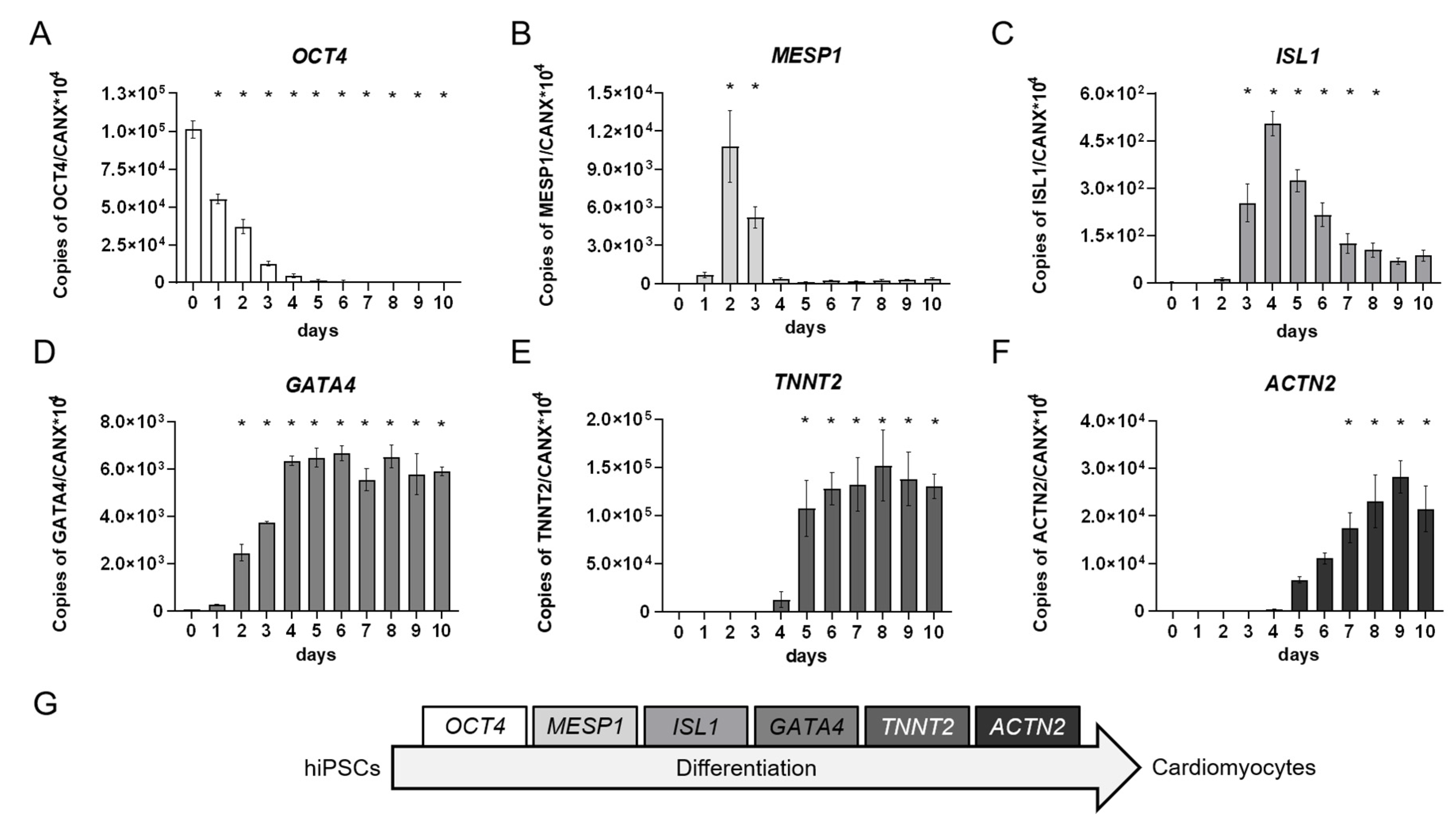 Ijms Free Full Text The Human Induced Pluripotent Stem Cell Test As