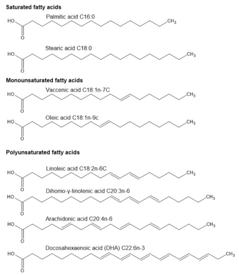 IJMS | Free Full-Text | Perspectives on Potential Fatty Acid ...