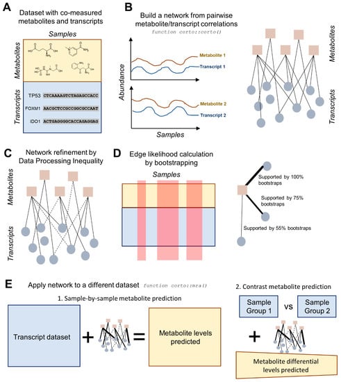 IJMS | Free Full-Text | Prediction Of Metabolic Profiles From ...