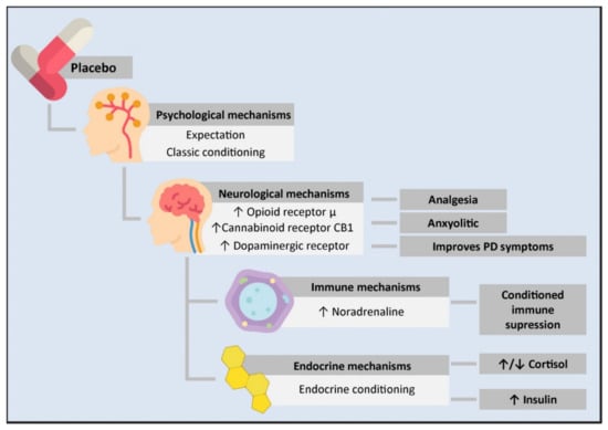 IJMS | Free Full-Text | Psycho-Neuro-Endocrine-Immunological Basis of ...