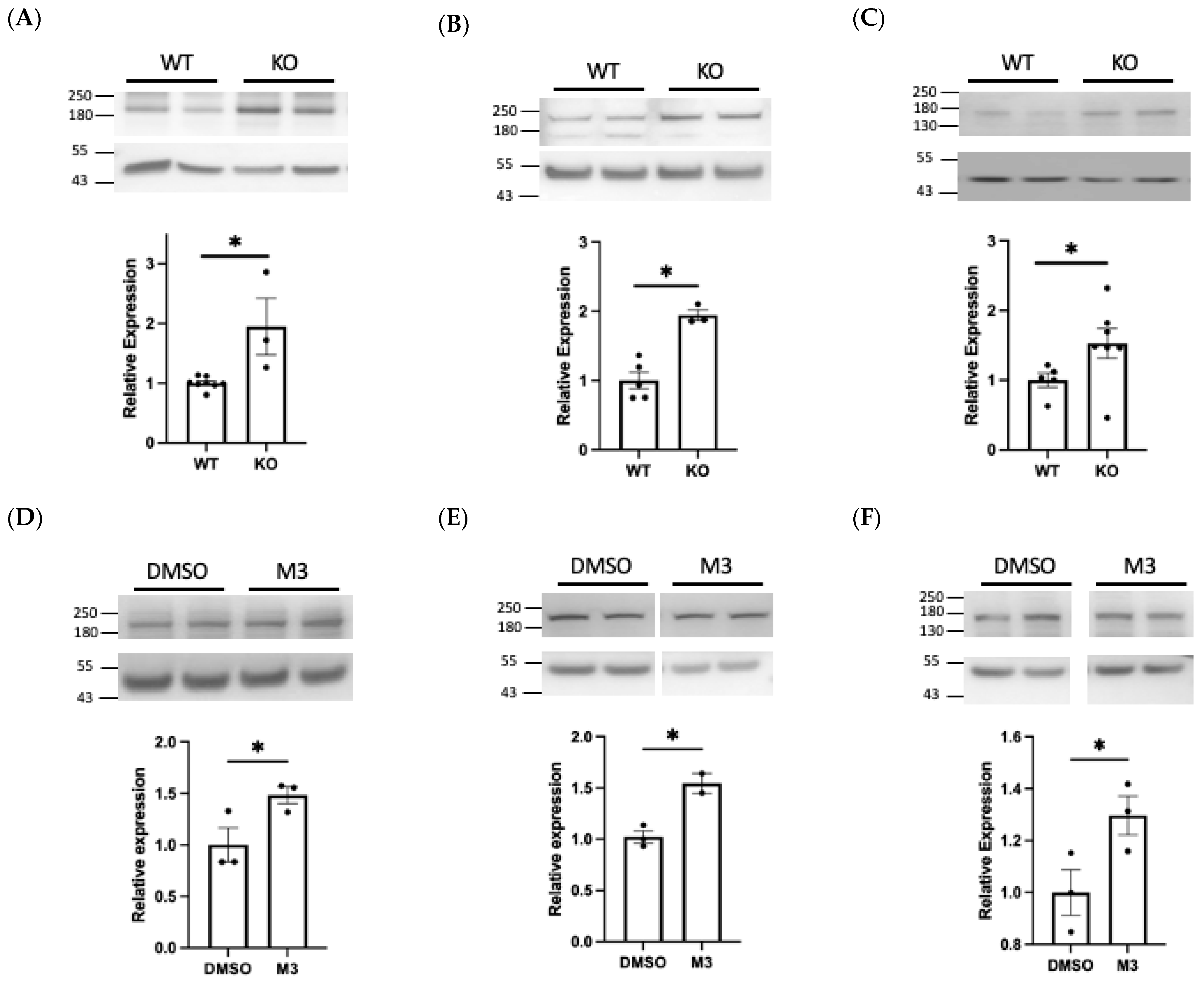 D-CSF-SC-23 Knowledge Points