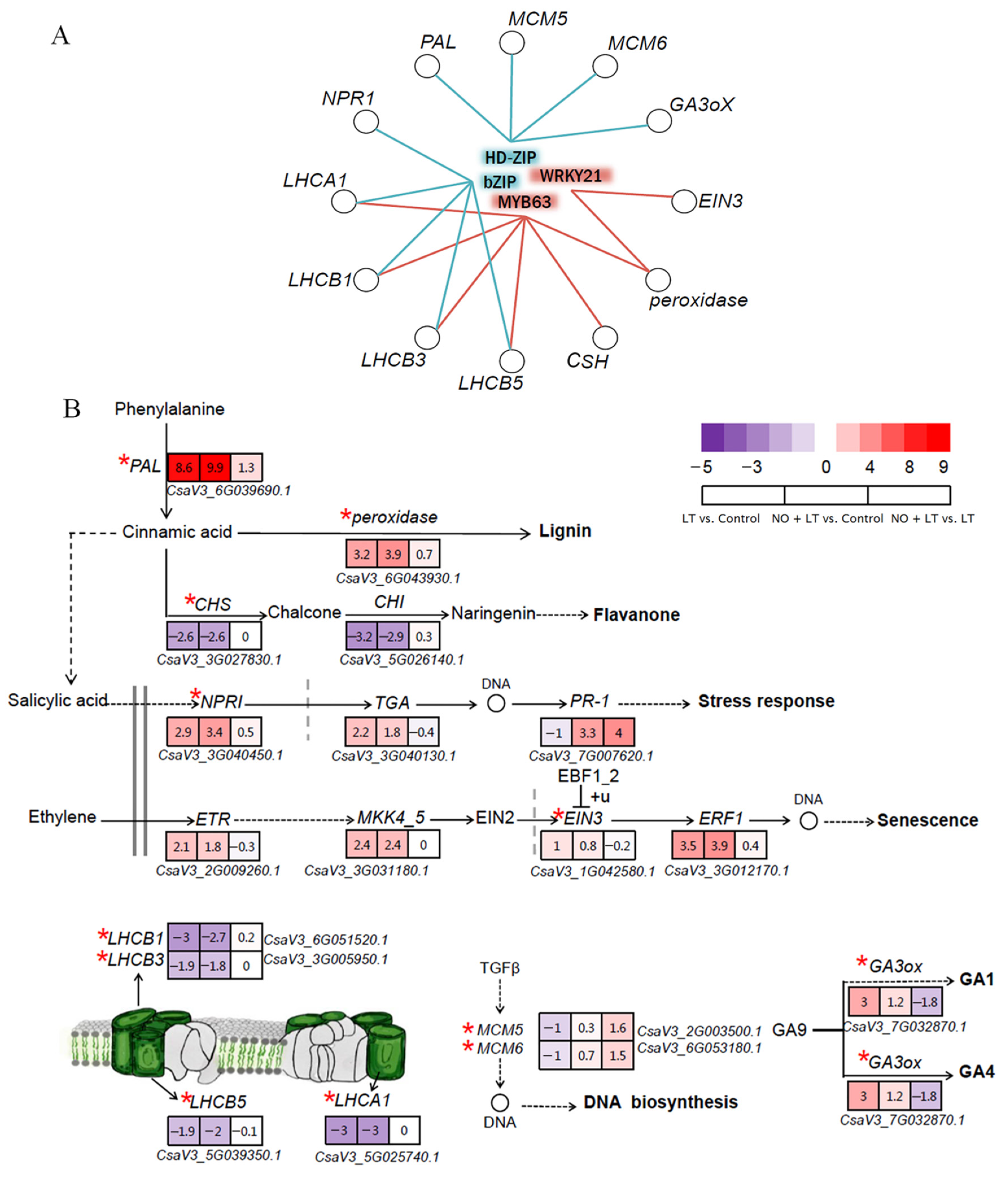 IJMS | Free Full-Text | Unveiling Molecular Mechanisms of Nitric 