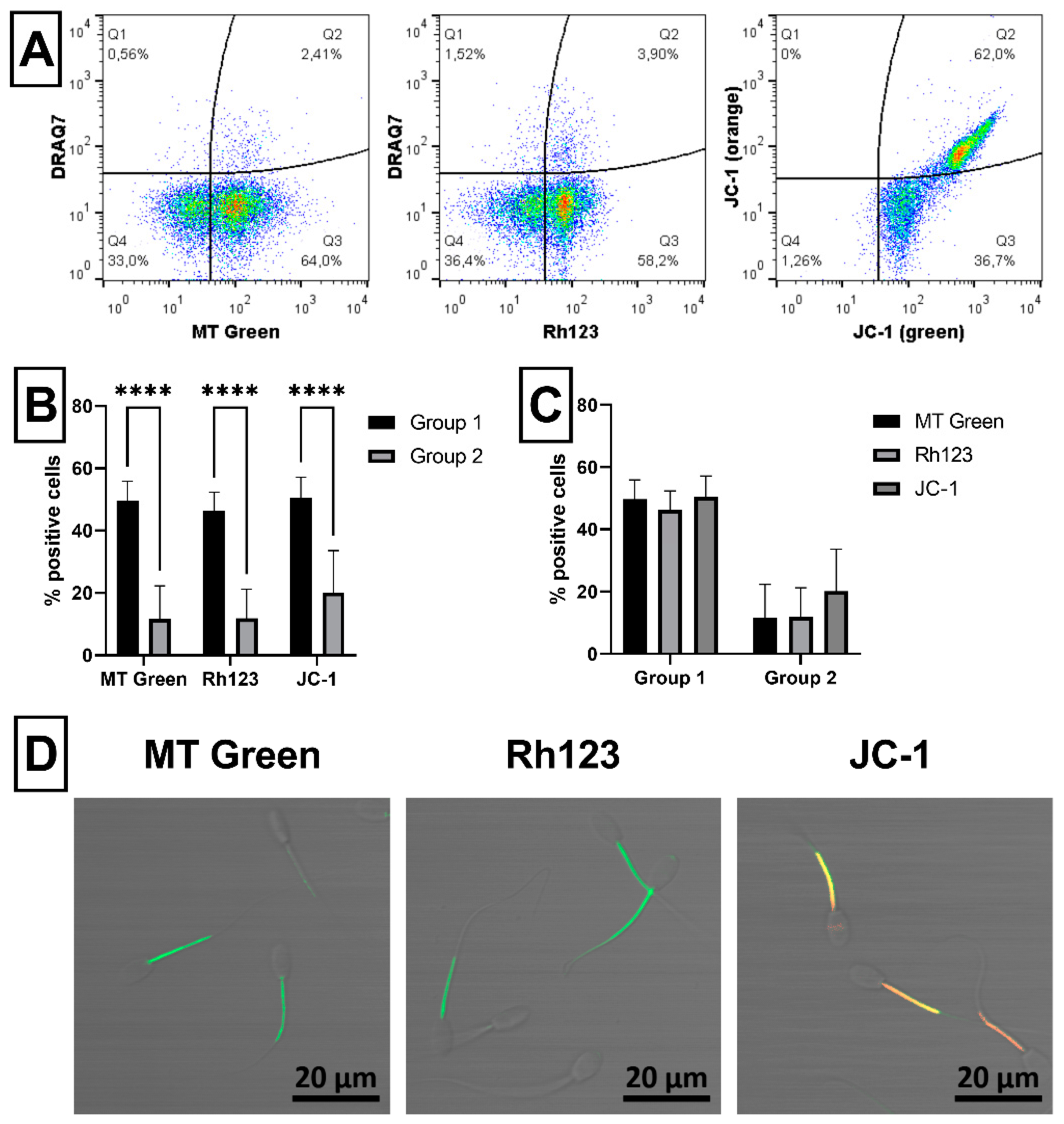 Standardization of a Cytometric Bead Assay Based on Egg-Yolk Antibodies