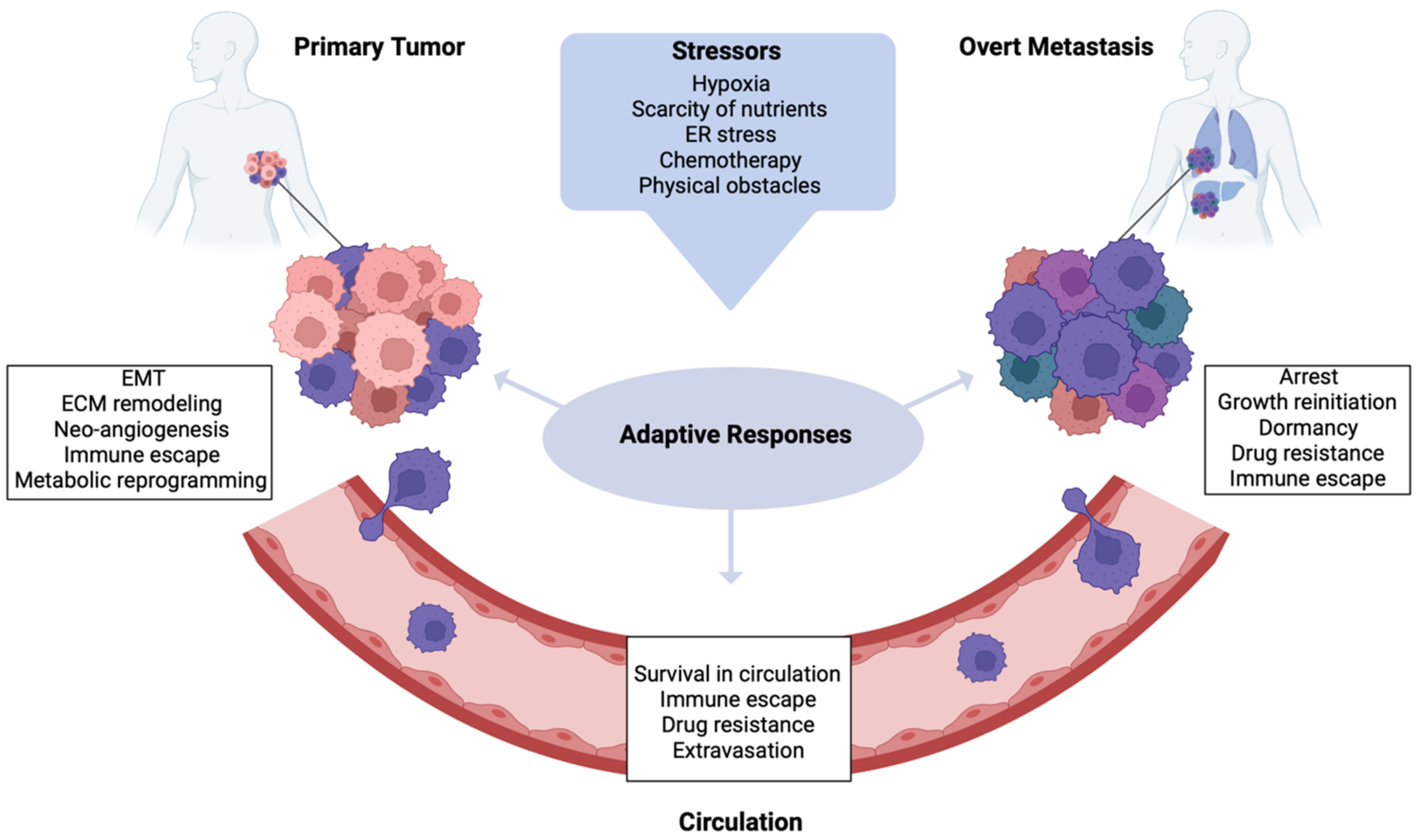 Genomic Evolution of Breast Cancer Metastasis and Relapse