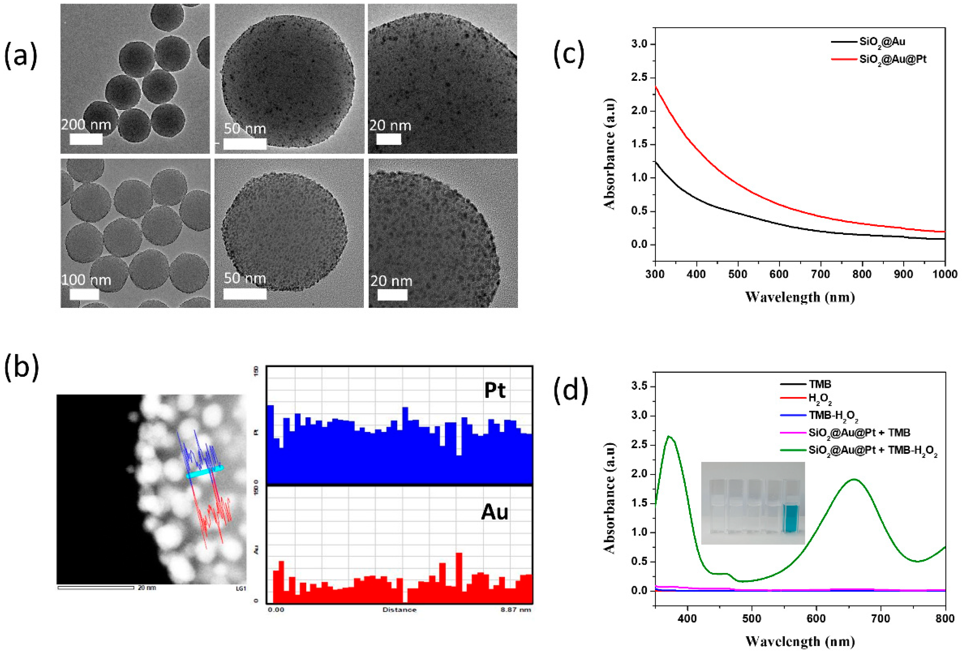 Ijms Free Full Text Synthesis Of Gold Platinum Core Shell Nanoparticles Assembled On A 6023
