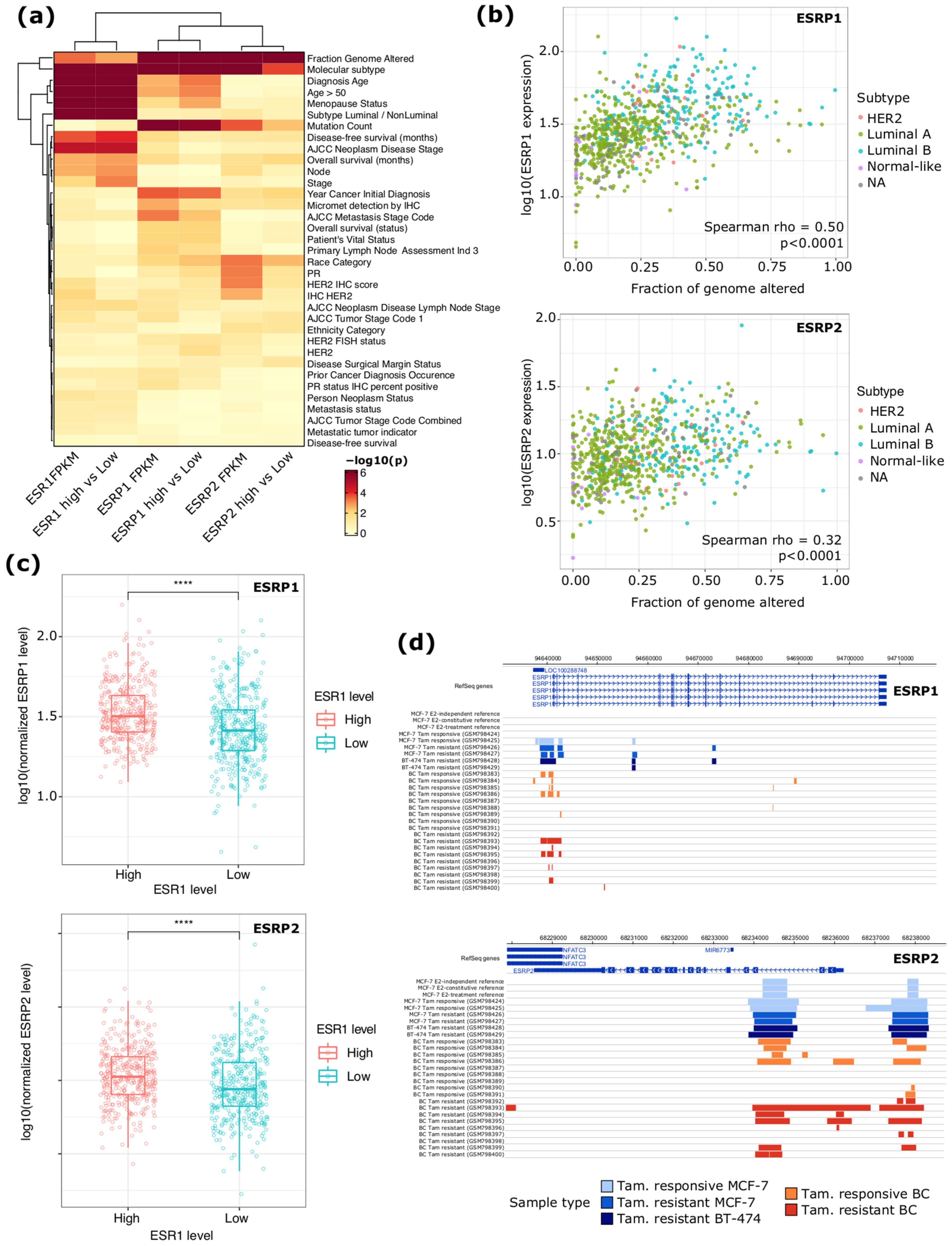 IJMS | Free Full-Text | A Regulatory Axis between Epithelial