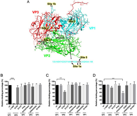 Ijms Free Full Text The Use Of Distinctive Monoclonal Antibodies In