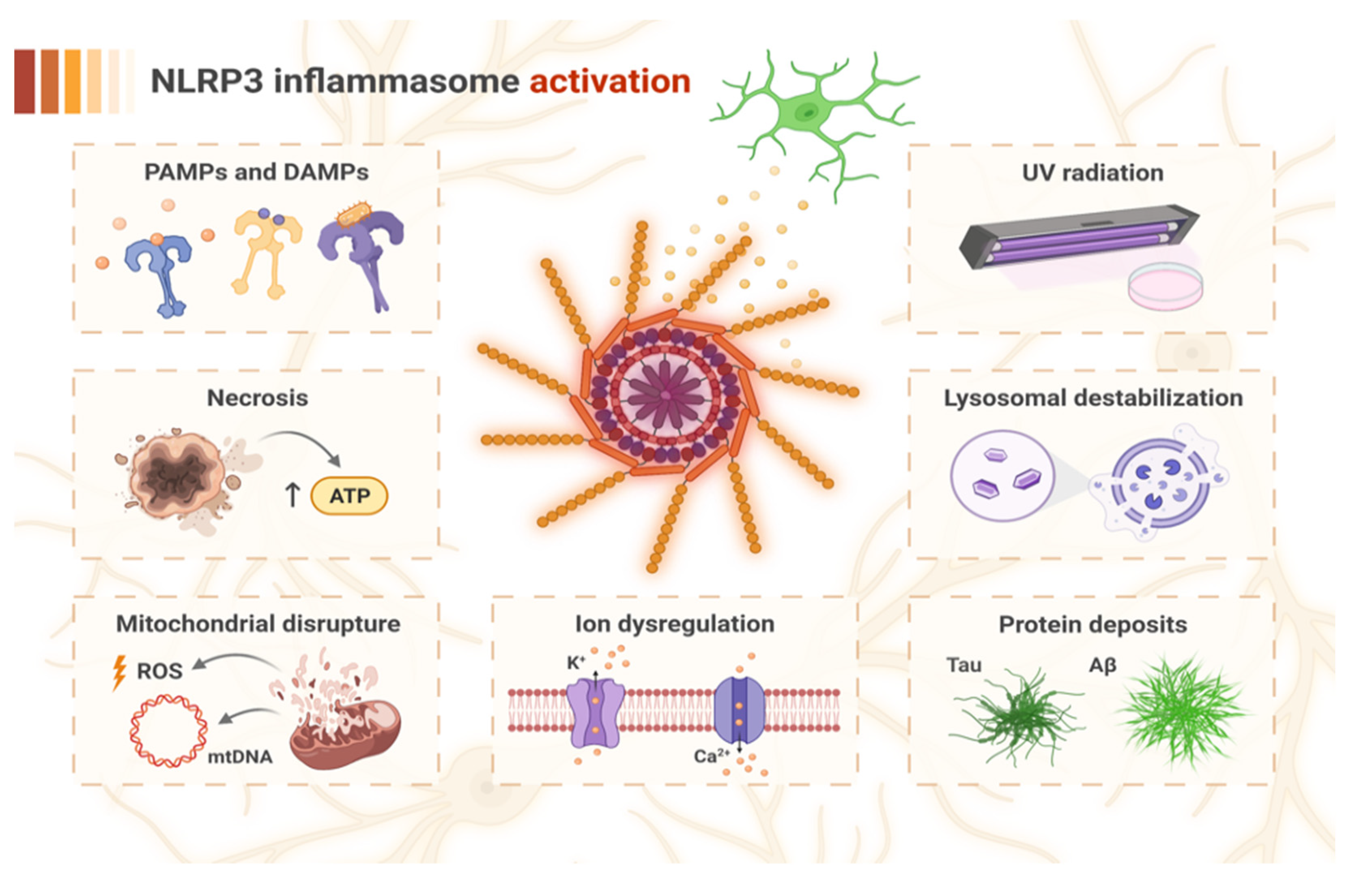 IJMS | Free Full-Text | Targeting NLRP3-Mediated Neuroinflammation 